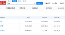 陈妍希与陈晓无商业关联 陈晓名下工作室均为个人独资企业