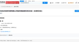 听泉赏宝名下公司被起诉 听泉赏宝公司涉网络侵权责任纠纷案件