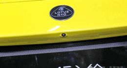 夏花没了，繁花还会在？莲花跑车毛京波致歉改名，防“下滑”