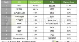 2024全球新能源销量榜：特斯拉、比亚迪分别夺得纯电与插混冠军