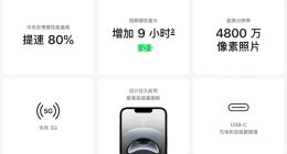 苹果死磕廉价牌