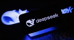 科技厂商们，“拒绝”DeepSeek的“独角戏”？