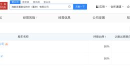 海航控股等在重庆成立世翼航空技术公司 注册资本1.1亿