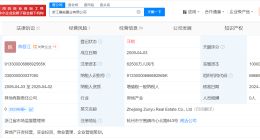 揭秘杭州丽晶国际开发商 网红大楼丽晶国际开发商已注销