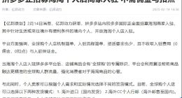 加码海淘，拼多多出海“补课