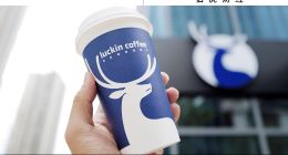 瑞幸攻下“12.9”