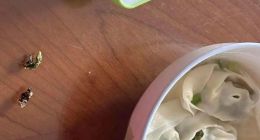 盒马馄饨被曝吃出蟑螂！消费者：“吐了，几天无法正常饮食”