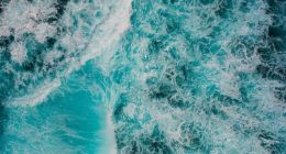 IPO前夜：荣耀的降速与动荡