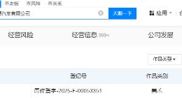 理想登记百万车主纪念徽章作品著作权