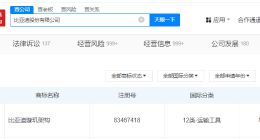比亚迪申请注册璇玑架构商标