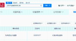 东风汽车申请注册武当大模型商标