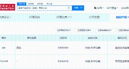 蔚来汽车申请注册龙柏商标