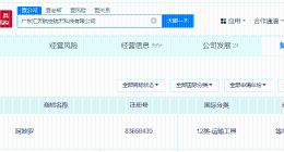 小鹏汇天申请注册阿波罗商标