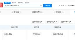 东风汽车申请注册太极大模型商标 东风汽车接连申请武当太极大模型商标