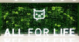 轻松健康IPO“暗礁”：明星产品轻松保，进坑易出坑难？｜BUG