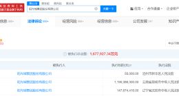阳光城集团等被执行13.3亿