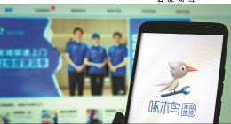 啄木鸟，没能成为维修行业的1%