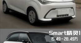 Smart CEO回应被国产车模仿外观：迪通拿永远不会羡慕小天才能打电话