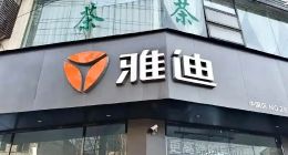 雅迪24年净利跌51.81% 电动车销量减少350万台