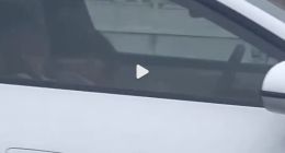 网友曝小米汽车车主行驶中酣睡引争议 小米客服回应