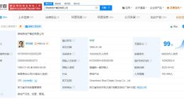 张亚东卸任绿城集团董事长 绿城集团换帅完成工商变更