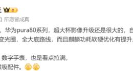 华为Pura 80 Ultra将搭载自研新主摄：拥有新长焦+红枫影像+可变光圈