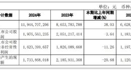 石头科技繁荣表象下的危机