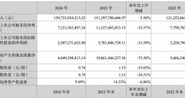 长安汽车2024年营收破1500亿，却养不起 “烧钱” 的深蓝和阿维塔