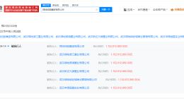 绿地控股集团等被执行11.5亿