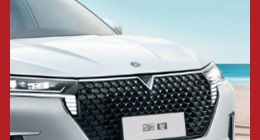 东风启辰VX6月销仅千辆，王保军传递“寒意”