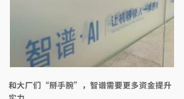 冲刺IPO的智谱：频繁融资，仍有压力