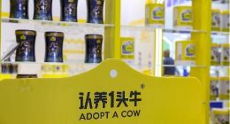 认养一头牛广告风波：超10亿营销费、股东被执行，IPO路何去何从？