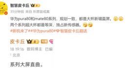 华为Pura 80 Pro将新增直屏版本：超大杯均为等深四曲屏