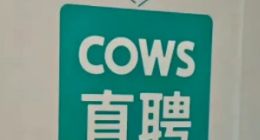 认养一头牛：踩着红线玩营销，还火到国外了！乳品企业该不该学？