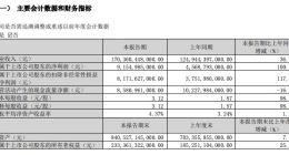 一天净赚一个小目标！比亚迪第一季度净利润91.5亿元 同比增100.4%