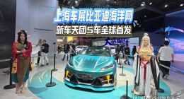 比亚迪翻倍的净利中有4.5亿政府补助，“汉唐盛世”背后存高端化等3大隐忧