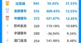 市场份额超30% 比亚迪获一季度新能源客车出口销量冠军