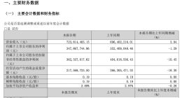 巨人网络一季度营收7.24亿元，游戏递延收入增长显著