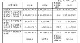 一年亏掉四年利润！红豆股份净利暴降893.8%，高端化转型遇挫面临存货积压风险​​