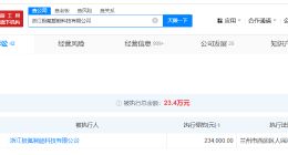 极氪汽车成被执行人 极氪汽车及旗下公司被执行23.4万