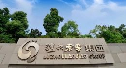 泸州老窖：2024年业绩遭遇“急刹车” “酒贷”模式竟藏这般猫腻？