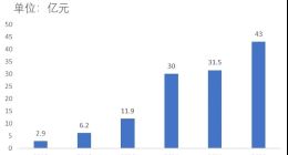 热闹过后，零食将迎来新一轮的洗牌与突围