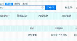 A股天价离婚案双方仍共同持股1家公司 揭秘A股天价离婚案双方商业版图