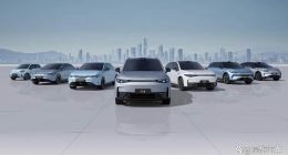 质量堪忧+销量之谜？王婆卖瓜在零跑身上真的无效