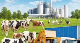 2024年财报收官：中国乳业迎来哪些新风向？