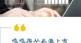 鸣鸣很忙赴港“大考”：股东“离场”、低价“隐忧”与未来挑战