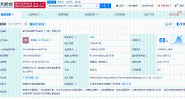 威马新能源汽车采购公司被申请破产