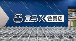 盒马X会员店困局