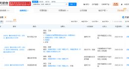 刘晓庆曾起诉被举报珠宝公司 举报刘晓庆偷税人曾起诉涉事公司