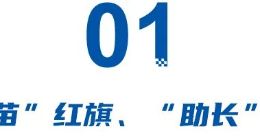 天工撑不起25万辆新能源，王胜利王立军互换，何以再续红旗复兴故事